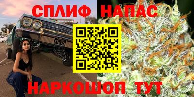 СК Бузулук