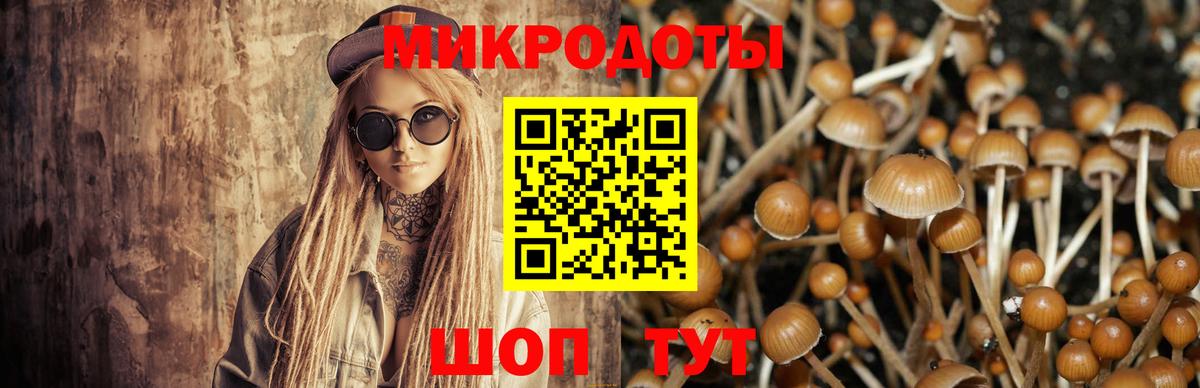 Галлюциногенные грибы мухоморы  Вход с VPN  Якутск  Галлюциногенные грибы мухоморы 