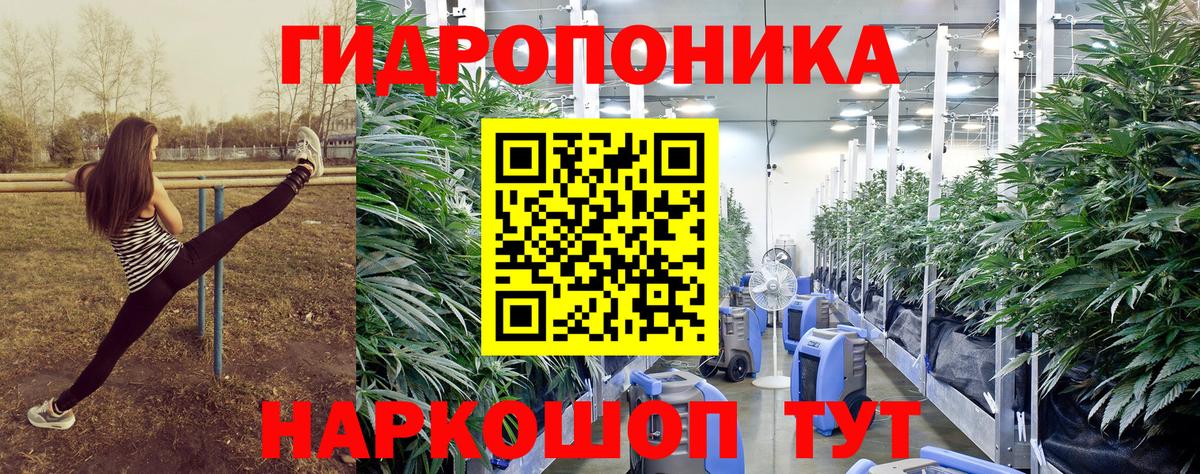 Бошки Шишки семена Якутск